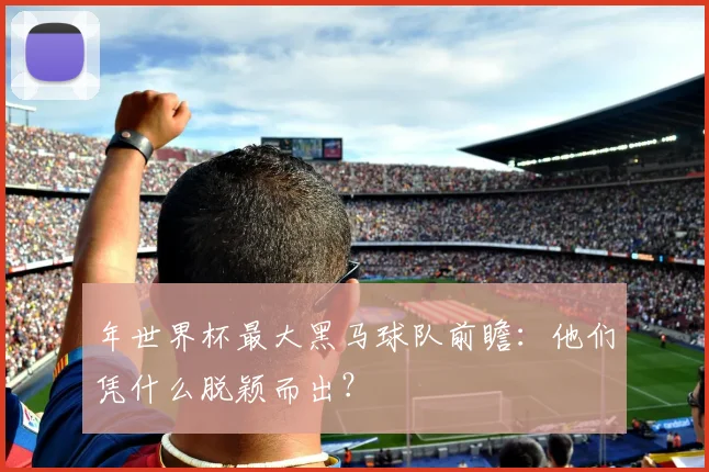 年世界杯最大黑马球队前瞻：他们凭什么脱颖而出？